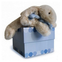 DouDou Hase in Boxe