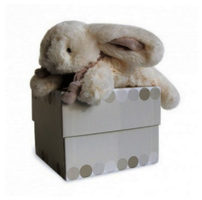 DouDou Hase in Boxe