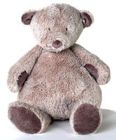 DouDou Bär Noann